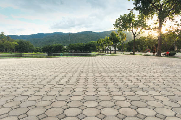 Best Driveway Paver Sealing  in Cedar Point, NC