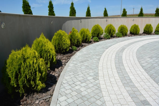 Reasons to Select Us for Your Driveway Paving Requirements in Cedar Point, NC